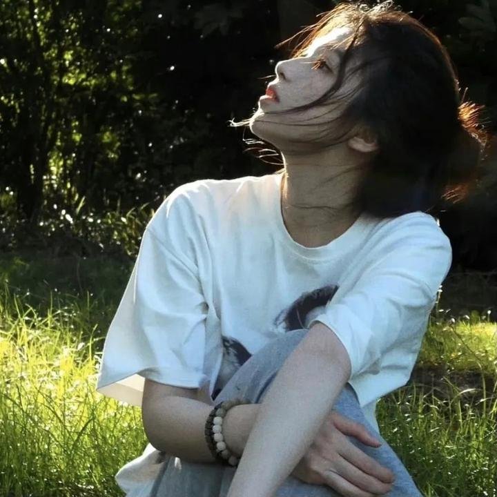 明星间谍